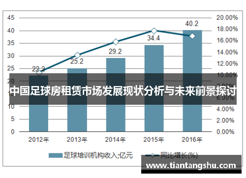 中国足球房租赁市场发展现状分析与未来前景探讨